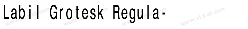 Labil Grotesk Regula字体转换